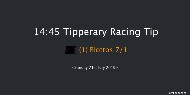 Tipperary 14:45 Handicap Chase 23f Thu 4th Jul 2019