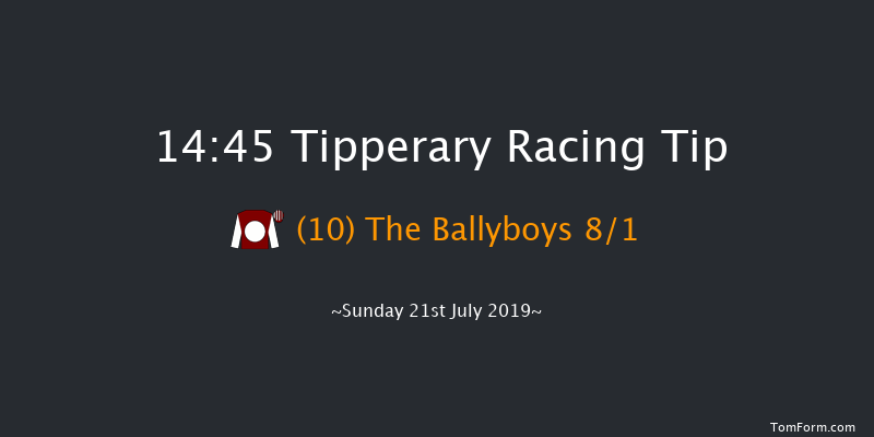 Tipperary 14:45 Handicap Chase 23f Thu 4th Jul 2019