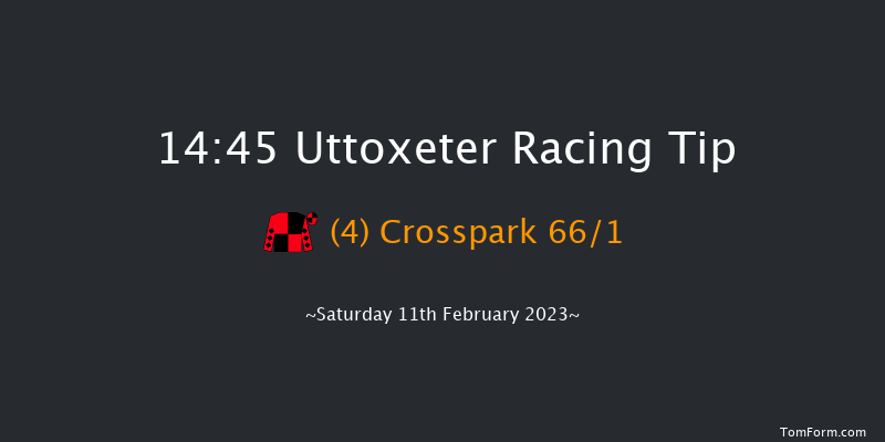 Uttoxeter 14:45 Handicap Chase (Class 2) 24f Sat 28th Jan 2023