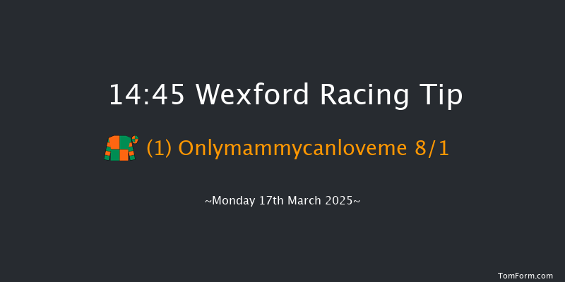 Wexford  14:45 Handicap Hurdle 16f Mon 28th Oct 2024