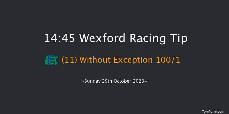 Wexford 14:45 Maiden Hurdle 20f Fri 1st Sep 2023
