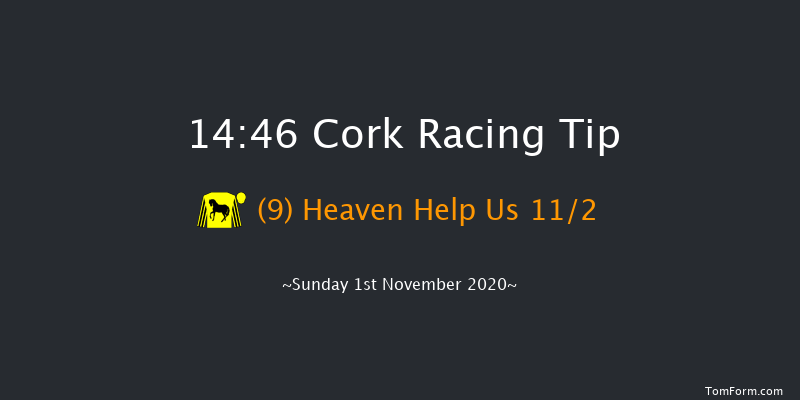 Paddy Power From The Horses Mouth Podcast EBF Novice Chase (Grade 3) Cork 14:46 Maiden Chase 20f Sun 18th Oct 2020