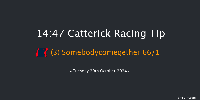 Catterick  14:47 Handicap (Class 6) 16f Sat 19th Oct 2024