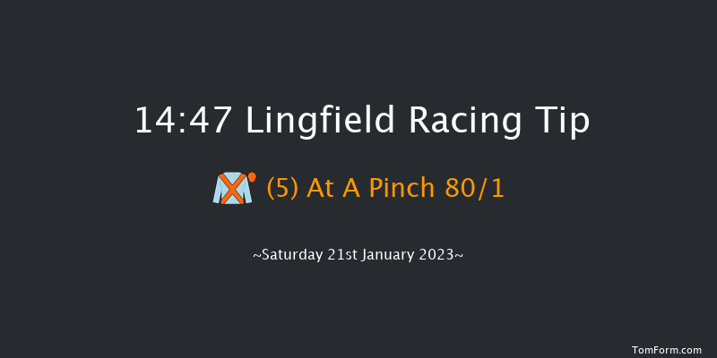 Lingfield 14:47 Handicap (Class 2) 10f Sat 14th Jan 2023