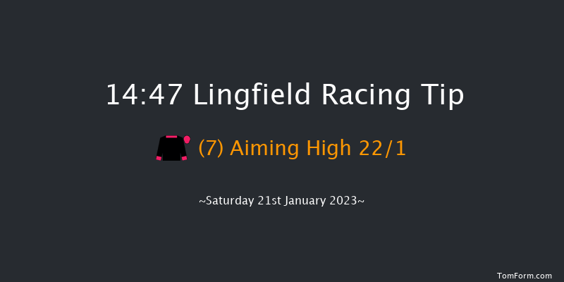 Lingfield 14:47 Handicap (Class 2) 10f Sat 14th Jan 2023