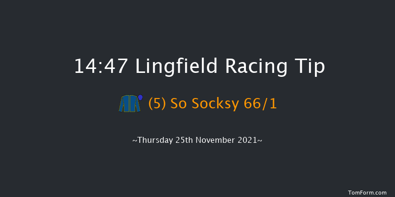 Lingfield 14:47 Maiden Hurdle (Class 4) 20f Sat 20th Nov 2021