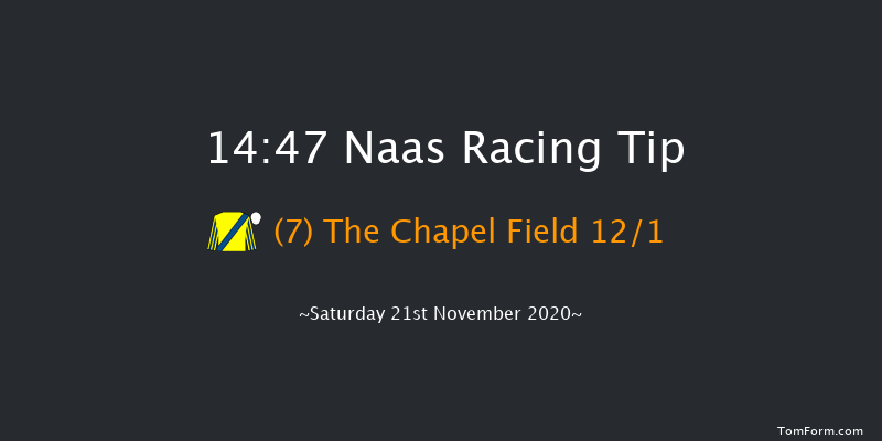 Rathbarry & Glenview Studs Novice Handicap Chase (0-116) Naas 14:47 Handicap Chase 20f Sat 7th Nov 2020