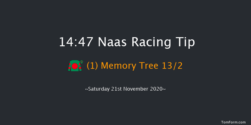 Rathbarry & Glenview Studs Novice Handicap Chase (0-116) Naas 14:47 Handicap Chase 20f Sat 7th Nov 2020