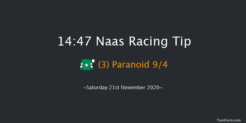 Rathbarry & Glenview Studs Novice Handicap Chase (0-116) Naas 14:47 Handicap Chase 20f Sat 7th Nov 2020