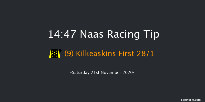 Rathbarry & Glenview Studs Novice Handicap Chase (0-116) Naas 14:47 Handicap Chase 20f Sat 7th Nov 2020