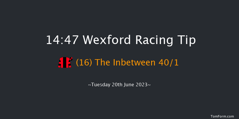 Wexford 14:47 Handicap Chase 20f Wed 31st May 2023