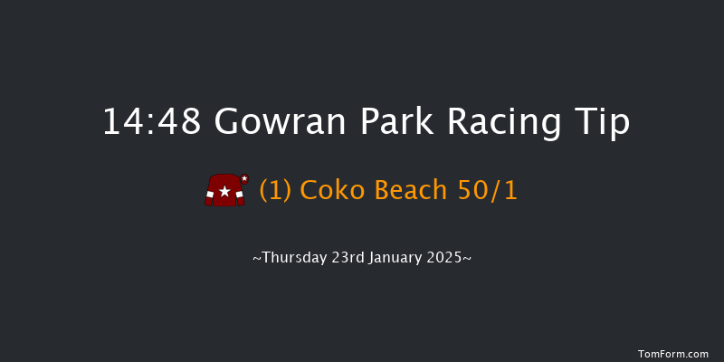 Gowran Park  14:48 Handicap Chase 25f Sat 9th Nov 2024