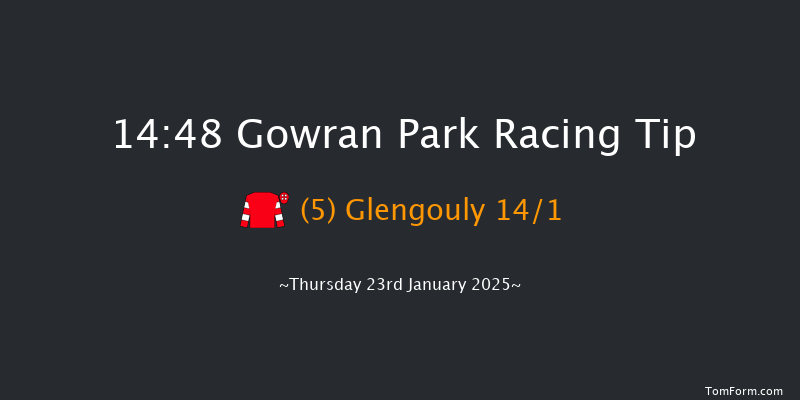 Gowran Park  14:48 Handicap Chase 25f Sat 9th Nov 2024