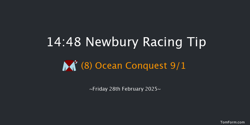 Newbury  14:48 Conditions Hurdle (Class 3) 16f Sat 8th Feb 2025