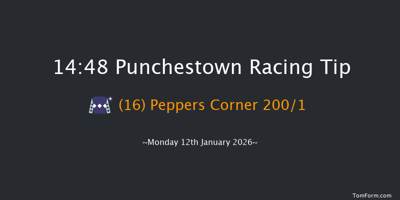 Punchestown 14-48 19f Sun 11th Jan 2026