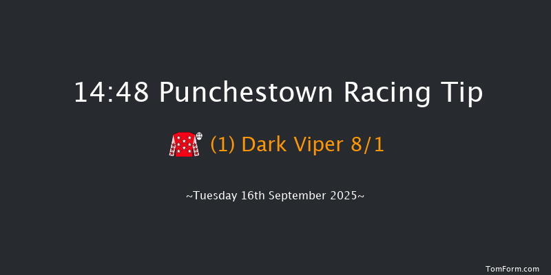 Punchestown 14-48 8f Sun 8th Jun 2025