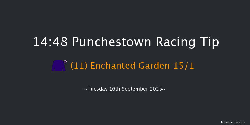 Punchestown 14-48 8f Sun 8th Jun 2025