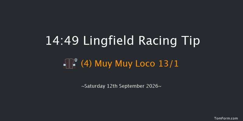 Lingfield 14-49 (Class 6) 8f Thu 10th Sep 2026