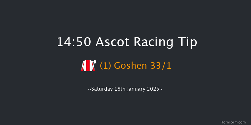 Ascot  14:50 Handicap Hurdle (Class 2) 19f Sat 21st Dec 2024
