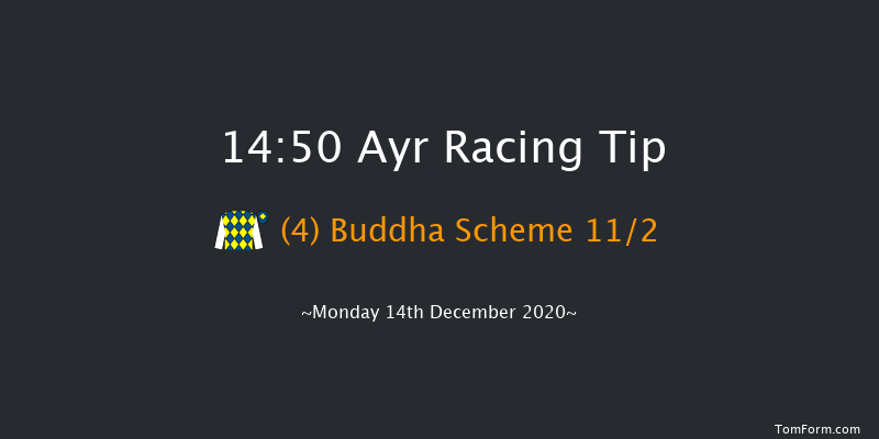 Racing TV HD On Sky 426 Handicap Chase Ayr 14:50 Handicap Chase (Class 3) 24f Mon 30th Nov 2020