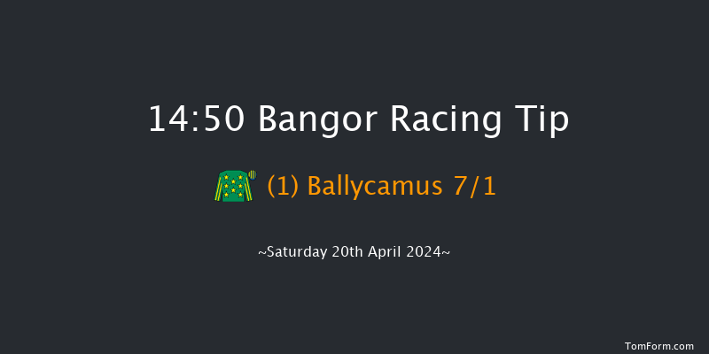 Bangor-on-dee  14:50 Handicap Chase (Class
4) 20f Sat 23rd Mar 2024