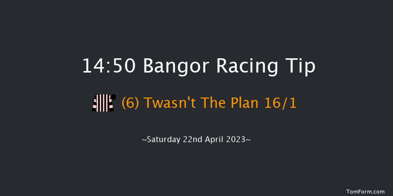 Bangor 14:50 Handicap Chase (Class 5) 24f Sat 25th Mar 2023