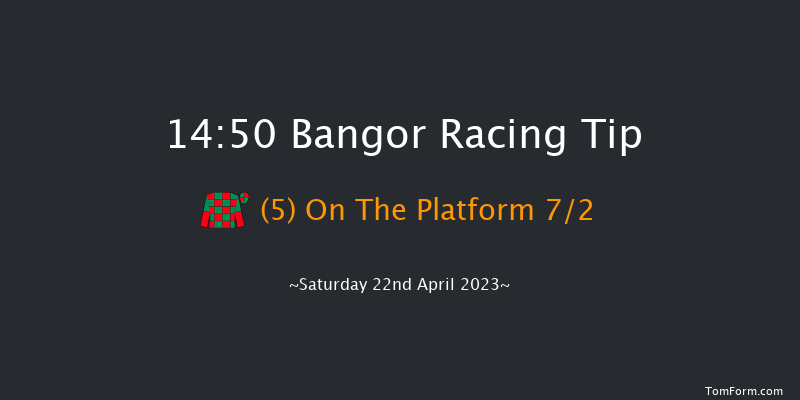 Bangor 14:50 Handicap Chase (Class 5) 24f Sat 25th Mar 2023