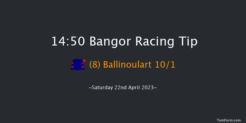 Bangor 14:50 Handicap Chase (Class 5) 24f Sat 25th Mar 2023