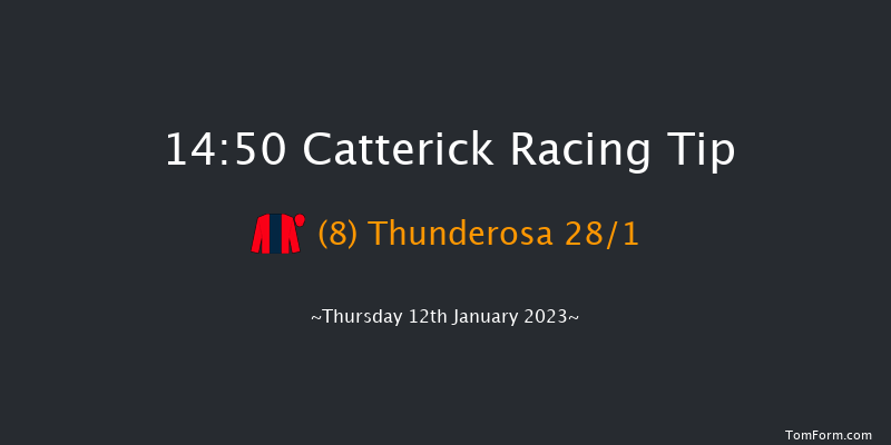 Catterick 14:50 Handicap Chase (Class 3) 30f Sun 1st Jan 2023