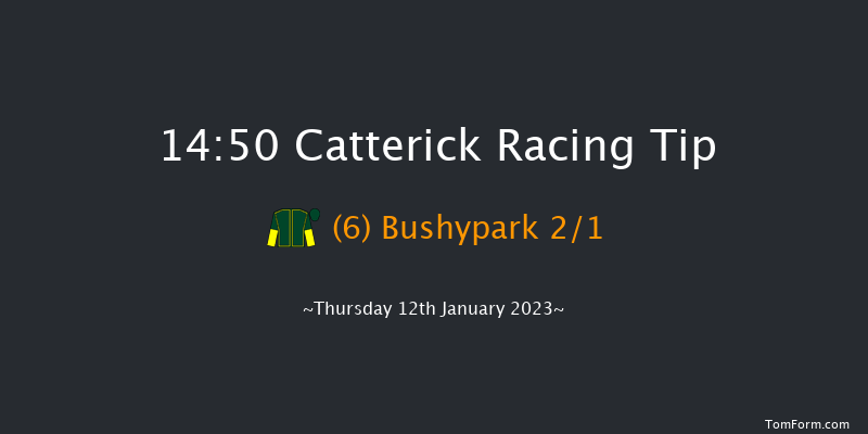 Catterick 14:50 Handicap Chase (Class 3) 30f Sun 1st Jan 2023