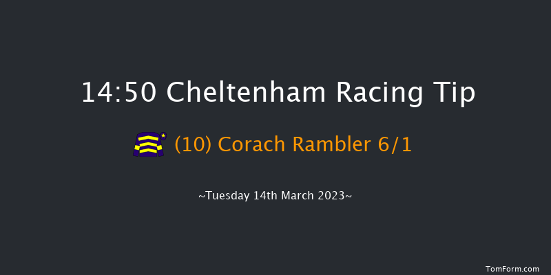 Cheltenham 14:50 Handicap Chase (Class 1) 25f Sat 28th Jan 2023