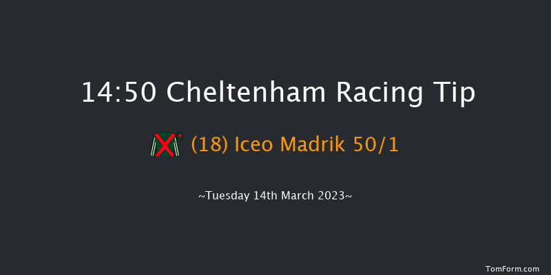 Cheltenham 14:50 Handicap Chase (Class 1) 25f Sat 28th Jan 2023