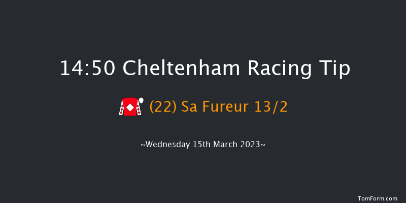 Cheltenham 14:50 Handicap Hurdle (Class 1) 21f Tue 14th Mar 2023