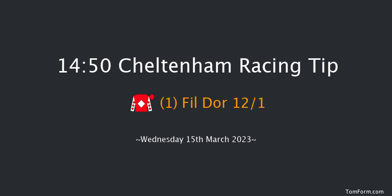 Cheltenham 14:50 Handicap Hurdle (Class 1) 21f Tue 14th Mar 2023