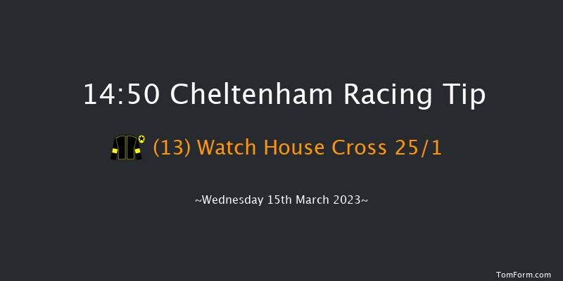 Cheltenham 14:50 Handicap Hurdle (Class 1) 21f Tue 14th Mar 2023