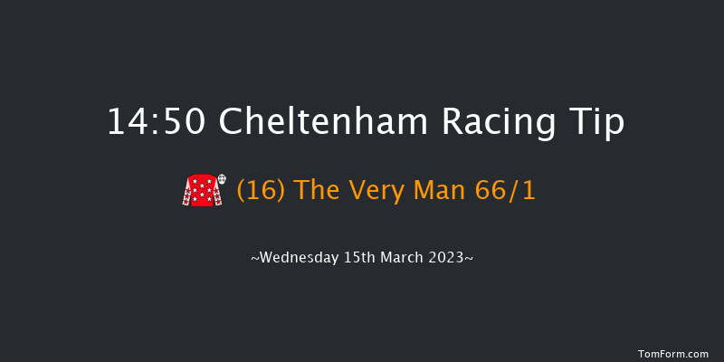 Cheltenham 14:50 Handicap Hurdle (Class 1) 21f Tue 14th Mar 2023