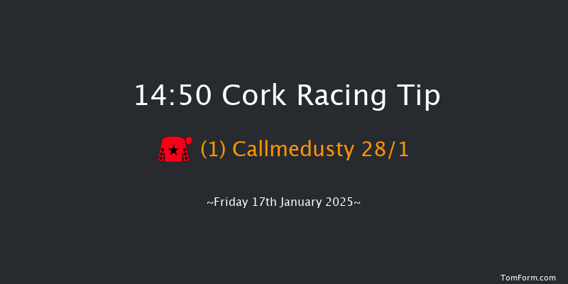 Cork  14:50 Maiden Chase 20f Sat 4th Jan 2025