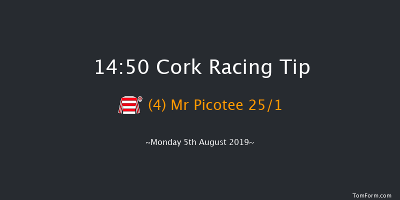 Cork 14:50 Handicap Hurdle 16f Fri 12th Jul 2019