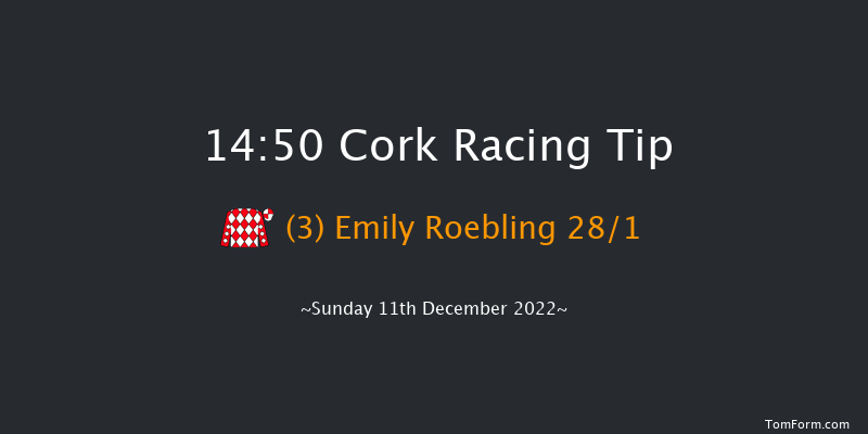 Cork 14:50 Handicap Hurdle 20f Sun 20th Nov 2022