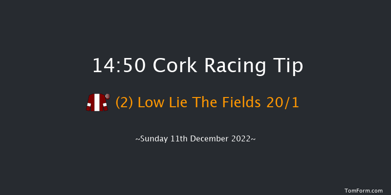 Cork 14:50 Handicap Hurdle 20f Sun 20th Nov 2022