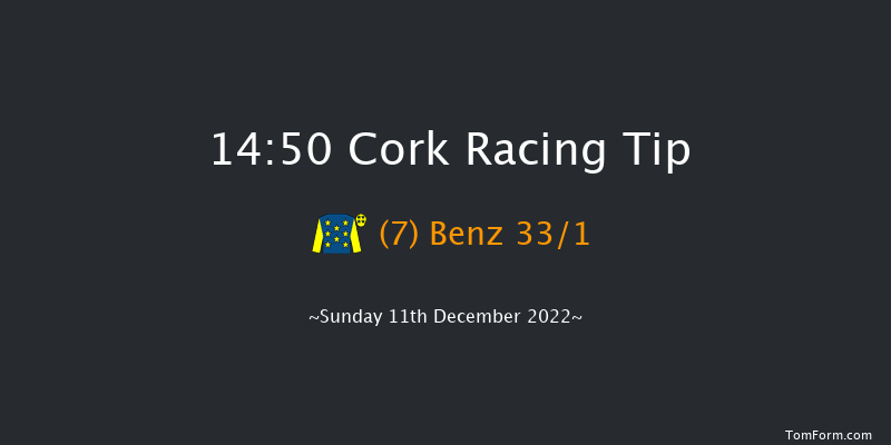 Cork 14:50 Handicap Hurdle 20f Sun 20th Nov 2022