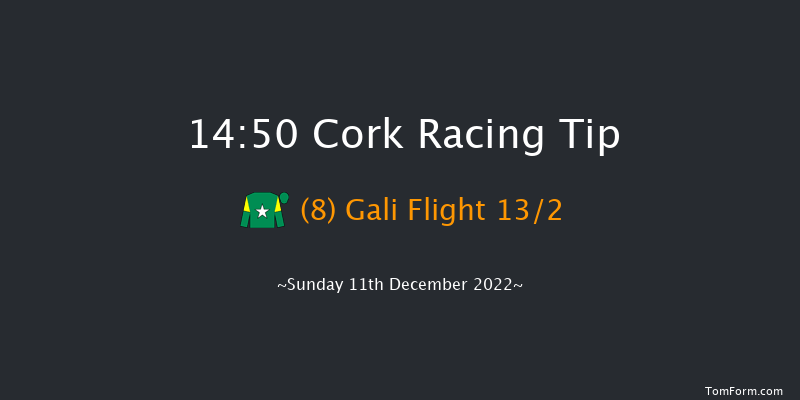 Cork 14:50 Handicap Hurdle 20f Sun 20th Nov 2022
