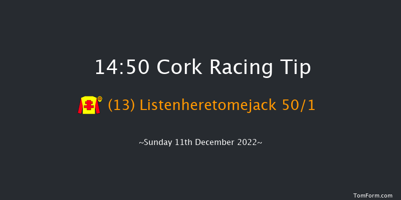 Cork 14:50 Handicap Hurdle 20f Sun 20th Nov 2022