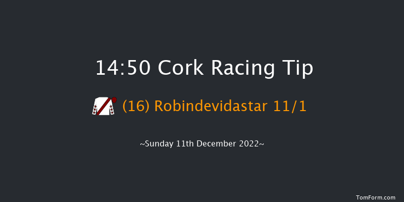 Cork 14:50 Handicap Hurdle 20f Sun 20th Nov 2022