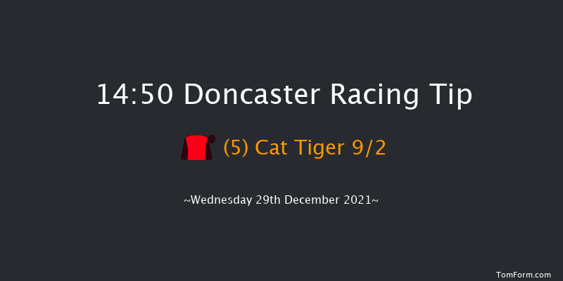Doncaster 14:50 Handicap Chase (Class 3) 24f Sat 11th Dec 2021