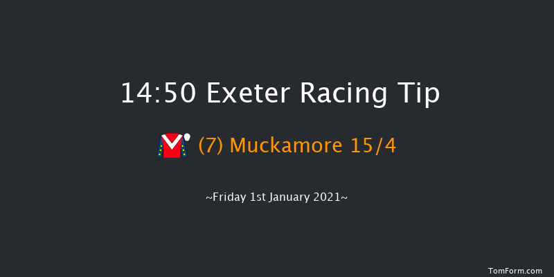 Paddy Power Handicap Chase Exeter 14:50 Handicap Chase (Class 3) 24f Thu 17th Dec 2020