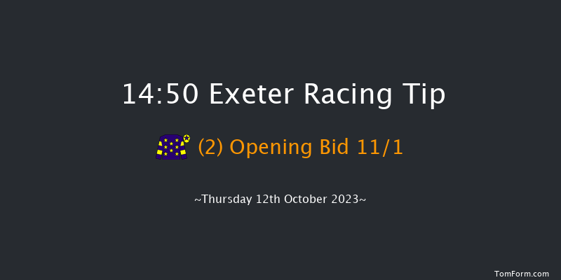 Exeter 14:50 Handicap Chase (Class 3) 19f Fri 21st Apr 2023