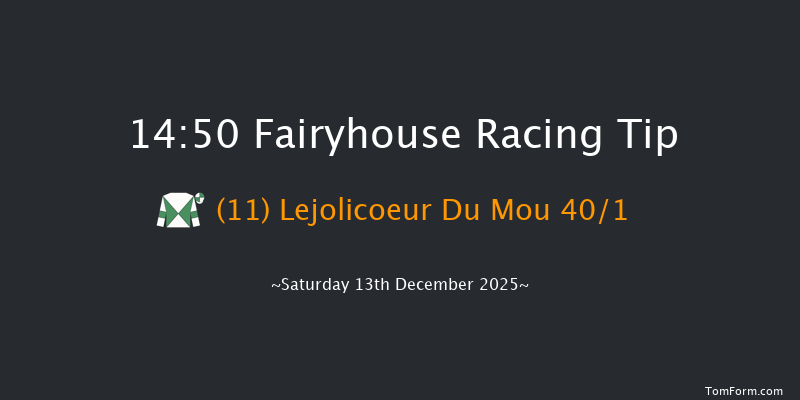 Fairyhouse 14-50 20f Sun 30th Nov 2025