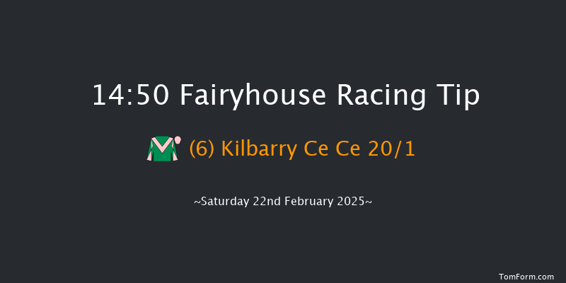 Fairyhouse  14:50 Handicap Hurdle 20f Wed 5th Feb 2025