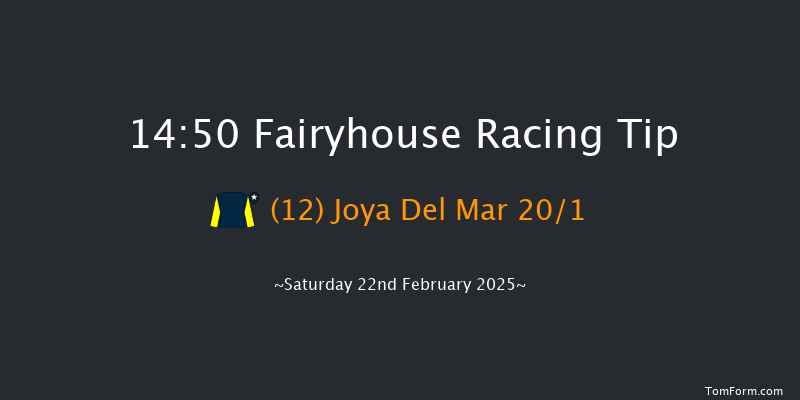Fairyhouse  14:50 Handicap Hurdle 20f Wed 5th Feb 2025
